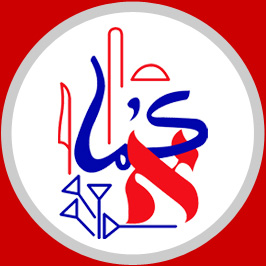 SASNES_Logo